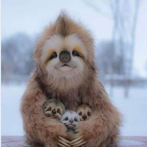 Meet your Posher, Abigail